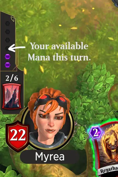 Spellslingers doesn't use Lands from Magic the Gathering for Mana. 